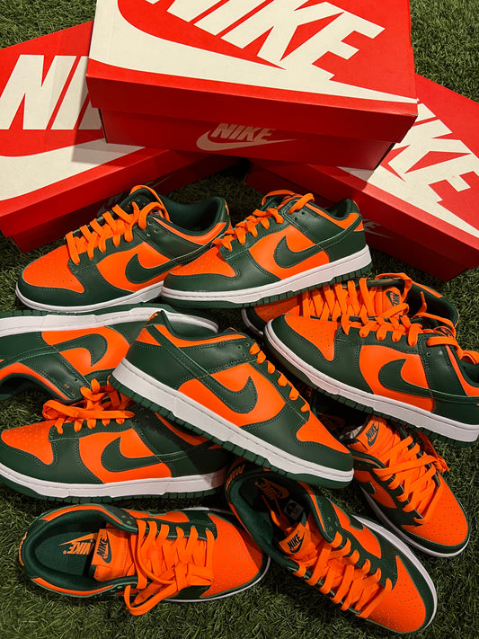 Nike Dunk Low Hurricanes